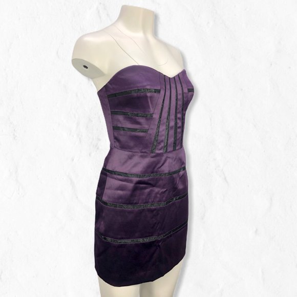 NWT BCBGeneration Violet Seamed Bustier Dress Sz 4 - Picture 2 of 11